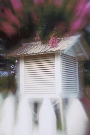 東京こども専門学校：保育士・幼稚園教諭を育成する専門教育機関の全貌